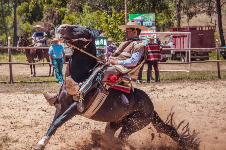 Cowboy jonathan francisca 512535 unsplash 1