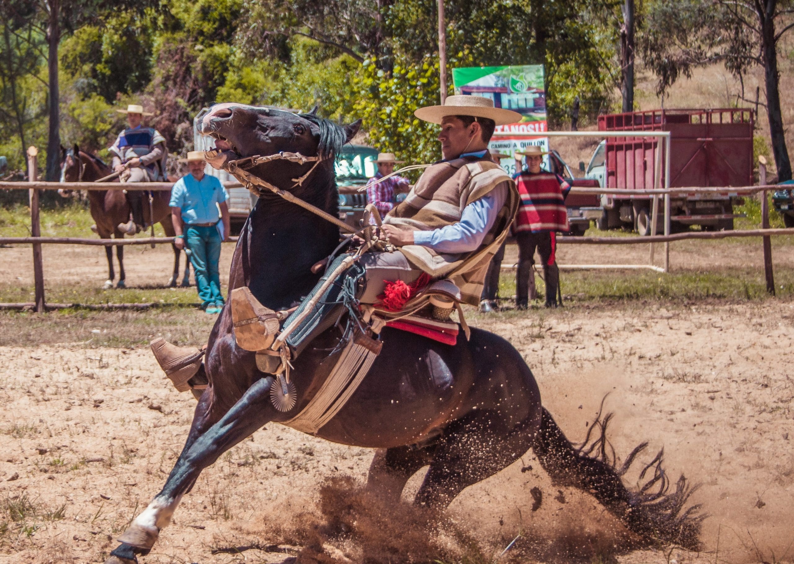 Cowboy on Horse to Symbolize Wild West at Jobsites